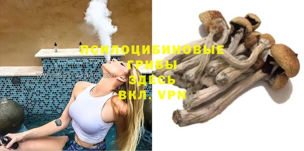 PSILOCYBIN Богородск